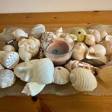 Kapparis Escape פאראלימני