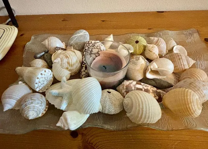 Kapparis Escape Paralimni